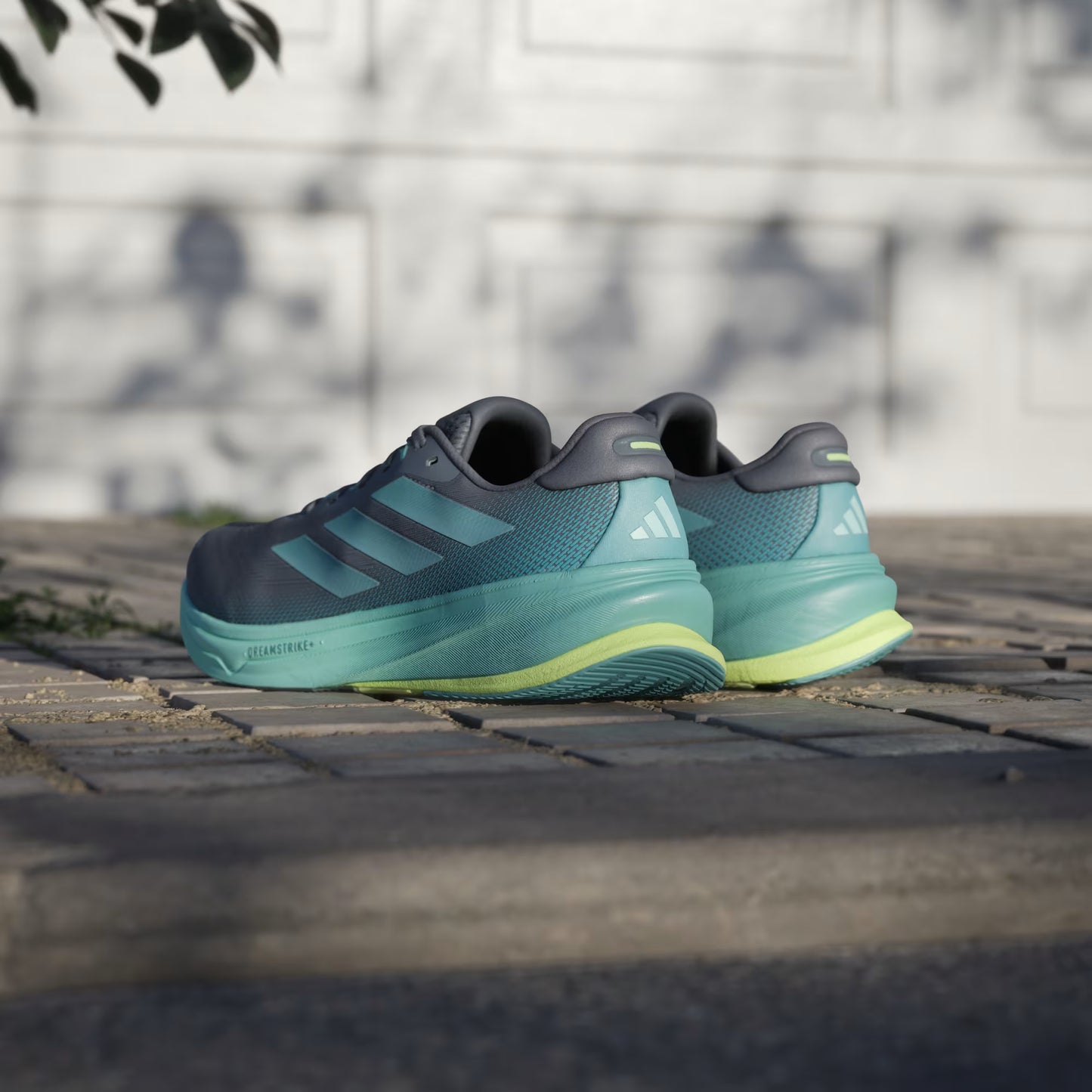 Supernova Rise 2 Running Shoes