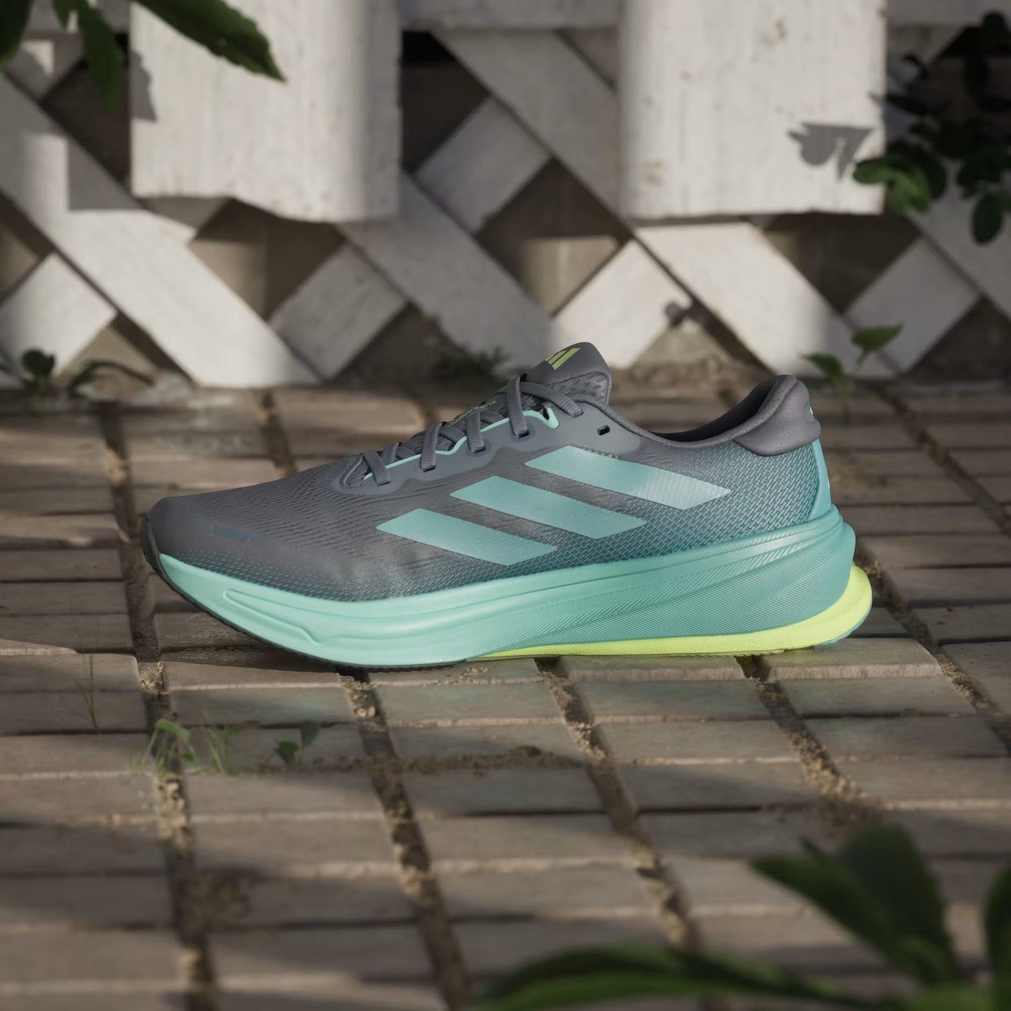 Supernova Rise 2 Running Shoes